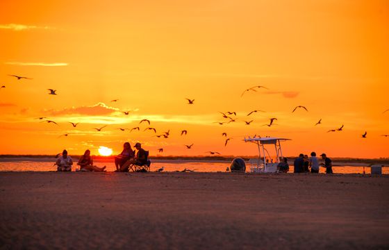 Sandbars &amp; Swimming: 3-Hour Boat Cruise from Folly Beach