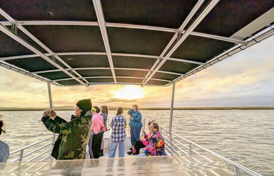 Sandbars &amp; Swimming: 3-Hour Boat Cruise from Folly Beach