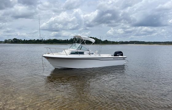 20’ GRADY WHITE OVERNIGHTER
