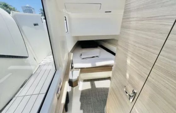 Escape to Lake Erie's Horizon: Charter the Saxdor 400 GTO!