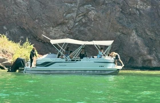 2025 AVALON VENTURE 8525 QL