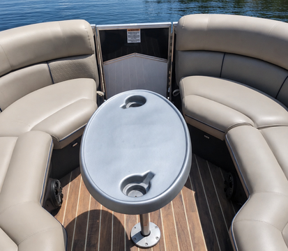 South Bay 25 Sport CR9 3.0+ Arch Tritoon with 250HP Evinrude