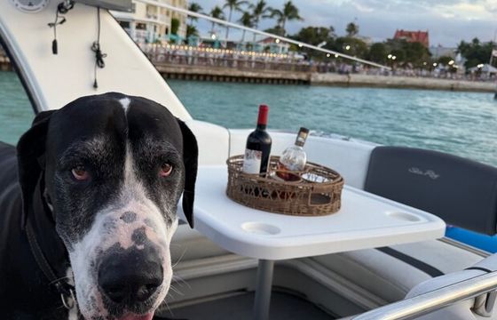 Luxury 45’ Rockstar Experience | Private Yacht Charter