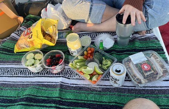 Mako Fish and Picnic Skiff – Dates, Fishing, Exploring Austin