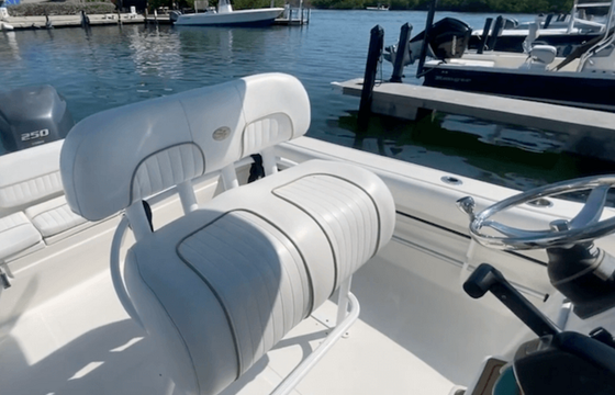 Rent/take a Captained Tour on this 26' SeaFox! Fishing trips offered!