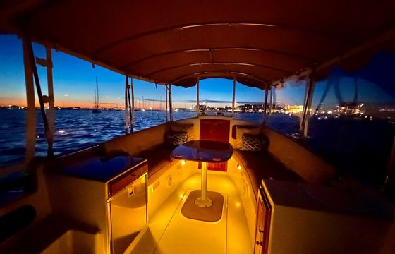 Explore Newport Harbor in a fully-electric Duffy 22