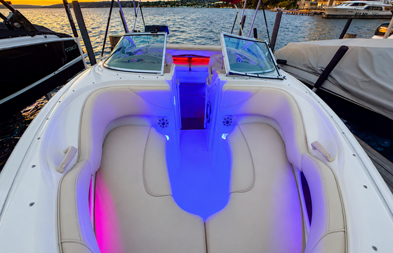 Sunset-Ready 21' Sea Ray — Bluetooth, Bimini, Cruising + Tubing Add