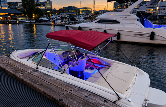 Sunset-Ready 21' Sea Ray — Bluetooth, Bimini, Cruising + Tubing Add