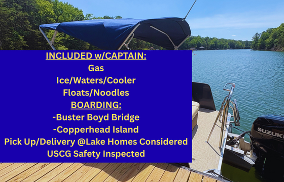 LakeWylieCruzin#3-Includes Gas/Ice/Floats-Boat in Lake-Ready to Board!