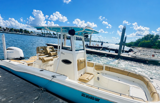 Sandbar Party, dolphin watching, cruising