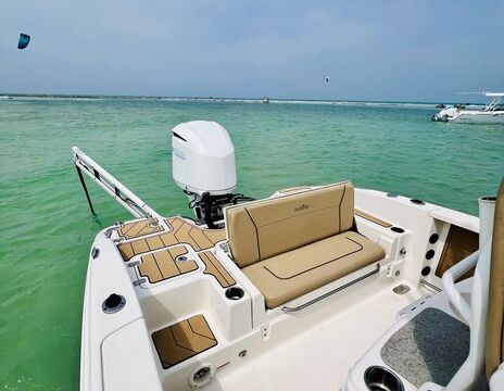 Sandbar Party, dolphin watching, cruising