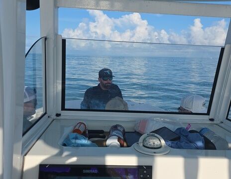 Sandbar Party, dolphin watching, cruising
