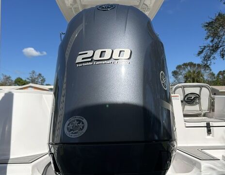 Fun day on the water aboard Sea Fox 228 Commander