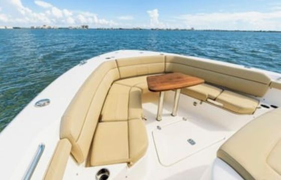43ft Luxury Sport Yacht (Tiara Pursuit)