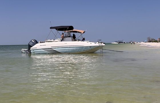 Private Sandbar Excursions and Sunset Boat Charter – Tarpon Springs