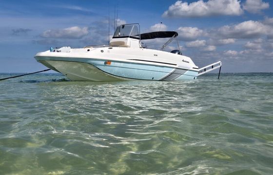 Private Sandbar Excursions and Sunset Boat Charter – Tarpon Springs