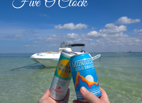 Private Sandbar Excursions and Sunset Boat Charter – Tarpon Springs