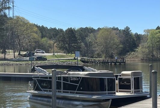Sunny 20' Sunchaser Pontoon — Seats 10, Pet-Friendly