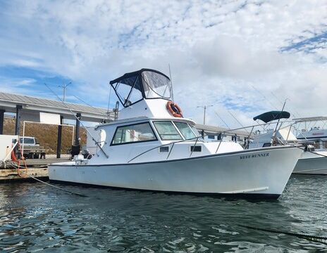 34’ Crusader Fishing Charter | Professional Experience!