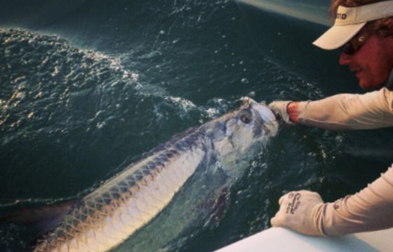 Inshore Shallow Water Fishing