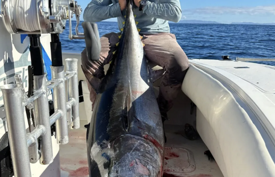 Fish Further in San Diego