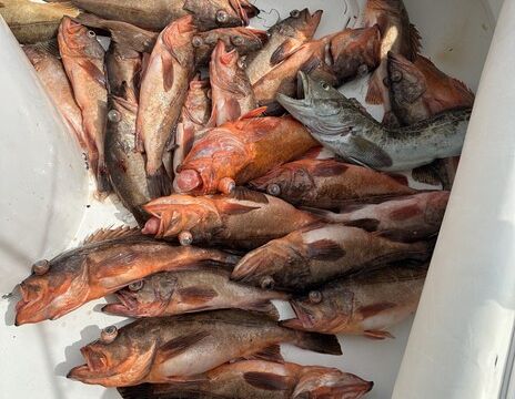 Fish Further in San Diego