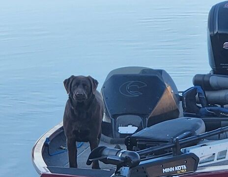 Crestliner XF 189 Bass Boat