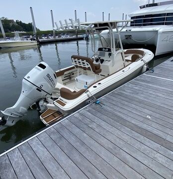Perfect for sandbar parties, dolphin watching, and cruising Charleston