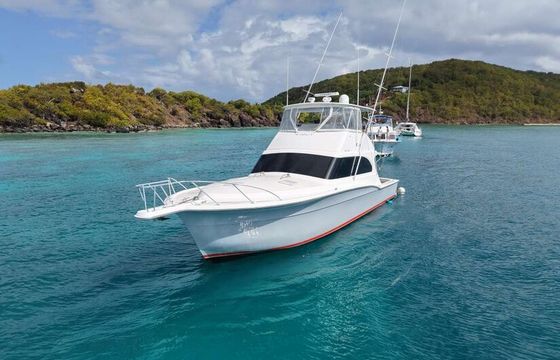 Luxurious Day Yacht for Up to 12 Guests | 4-hr &amp; 6-hr Charters