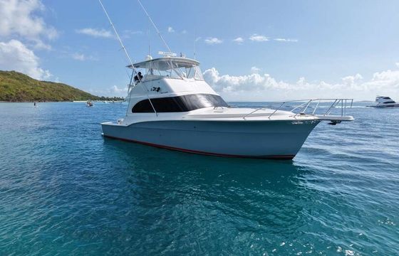 Luxurious Day Yacht for Up to 12 Guests | 4-hr &amp; 6-hr Charters