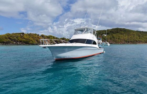 Luxurious Day Yacht for Up to 12 Guests | 4-hr &amp; 6-hr Charters
