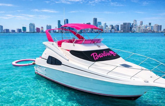 Barbie 42FT