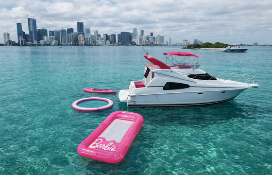 Barbie 42FT