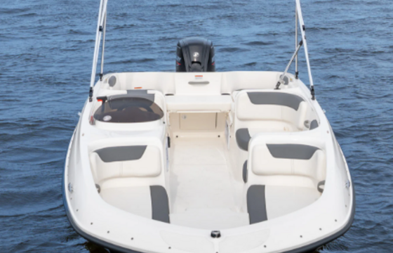 Bayliner Element e18 115 HP