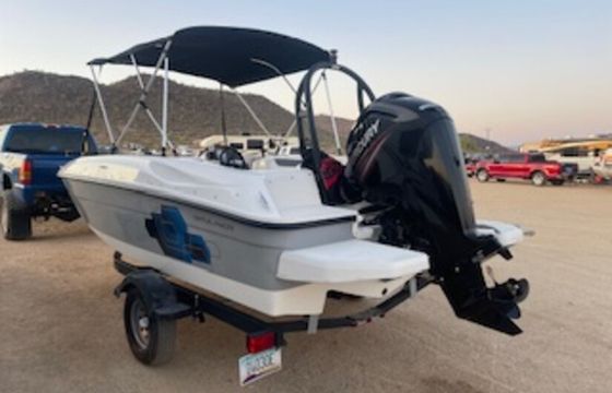 Bayliner Element e18 115 HP