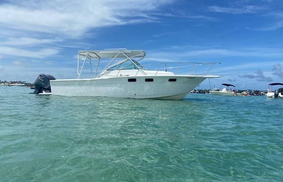 Sandbar Tours on 30ft Cruiser Boat — 30ft Cruiser