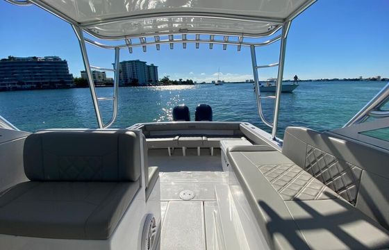 Sandbar Tours on 30ft Cruiser Boat — 30ft Cruiser