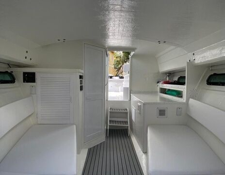 Sandbar Tours on 30ft Cruiser Boat — 30ft Cruiser