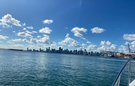 Sandbar Tours on 30ft Cruiser Boat — 30ft Cruiser