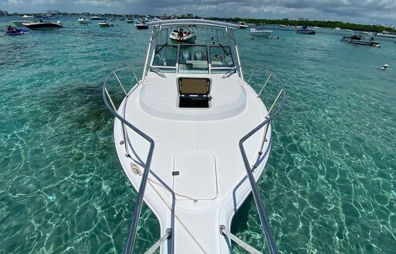 Sandbar Tours on 30ft Cruiser Boat — 30ft Cruiser