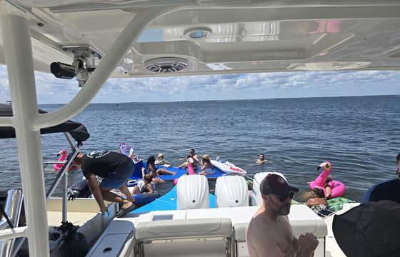Catch or Cruise
