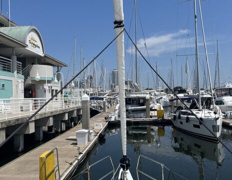 Day charters in St. Petersburg (51ft)