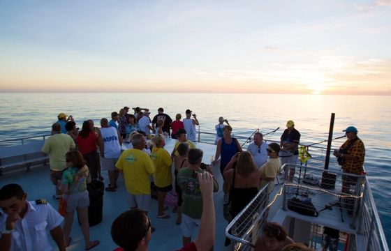 65' Party Cat for Sunset Dinner Cruise in Key West!