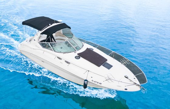 Miami Yacht Experience 35ft Sea Ray Sundancer for 12 Guests