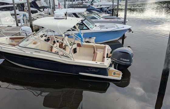 Your Perfect Day on the Water Scout 245 Dorado: Built for Fun