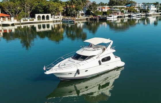 46” SPORT BRIDGE YACHT