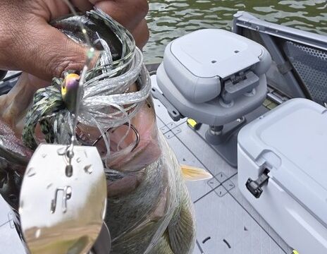Sea-Doo Switch Fish 18'  Fishing Boat