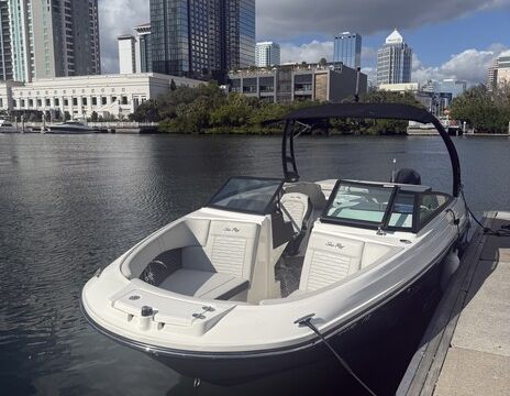 Luxury Sea Ray | Tampa Bay | 13 Guests | Perfect for Sandbars & Cruise