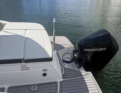 Luxury Sea Ray | Tampa Bay | 13 Guests | Perfect for Sandbars & Cruise