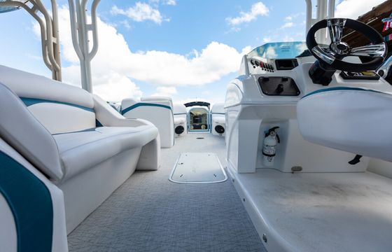 Aloha 30 Sundeck with Slide – Ultimate party boat! Hidden Cove